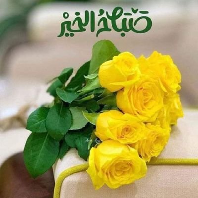 koKo152823795's profile picture. 