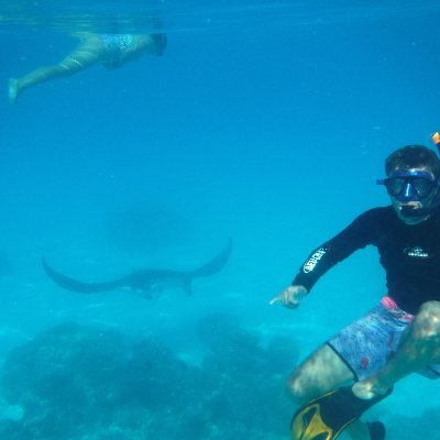 PiusJo's profile picture. J'aime les voyages, la lecture, les cryptos et la liberté d'expression ^^