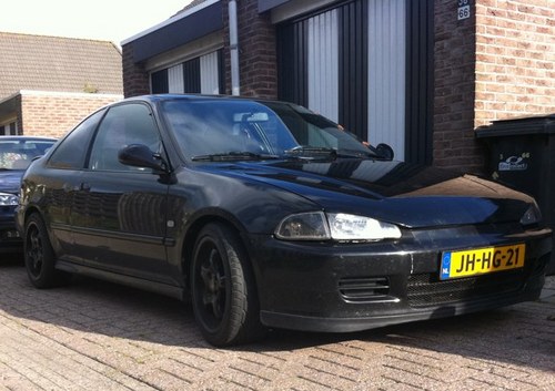 Pitbull_EJ2's profile picture. 