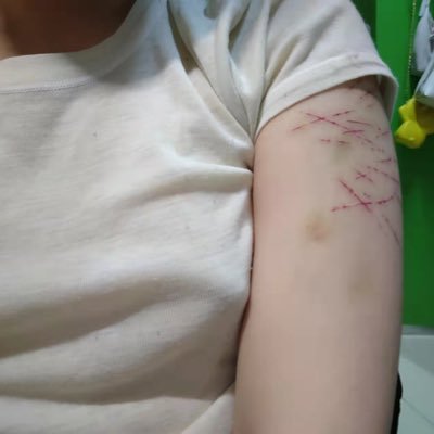 chenpi94666's profile picture. 一位低级垃圾桶妓女dead inside