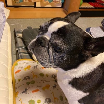 ShockTakumi's profile picture. 