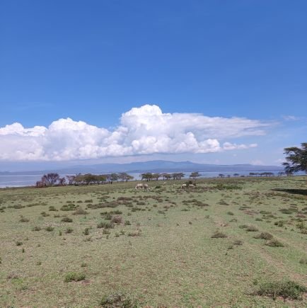 huawang10729839's profile picture. JXXJJ