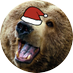몹시 곰 (@mobsh_bear) Twitter profile photo 몹시 곰 (@mobsh_bear) Twitter profile photo