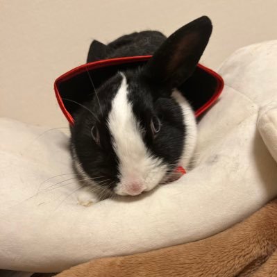 ttfm_567's profile picture. 釣れない釣り師やってます