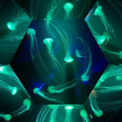 MuneoBea's profile picture. 