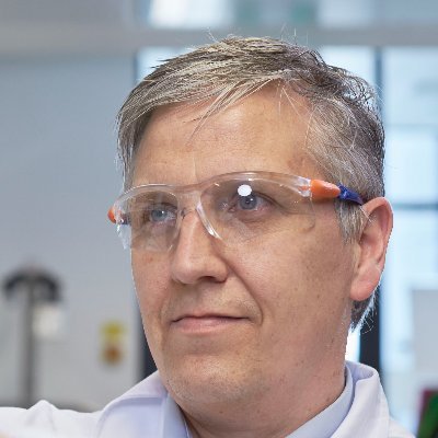 Professor and Director of the UNSW RNA Institute, School of Chemistry, UNSW, President of the Royal Australian Chemical Institute (RACI).