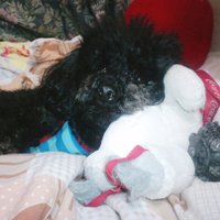 山田 (@yamadachiharu) 's Twitter Profile Photo