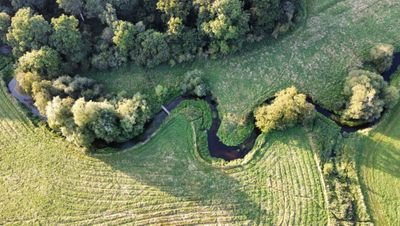 Save Our Loddon Valley Environment. Working to maintain the unique chalk stream valley that rises in Basingstoke and its a tributary of the River Thames.