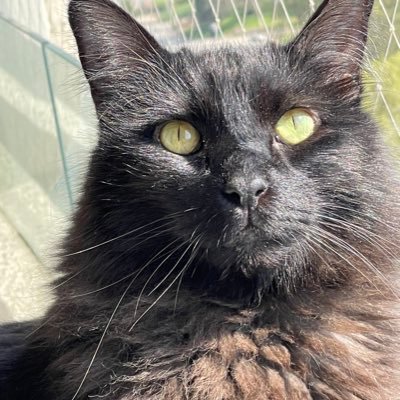 JnnyyJnnyy's profile picture. 