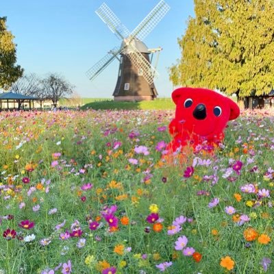 チーバくんキャラバン情報です☆ 日々の出来事などアップしていきます♪お問い合わせは千葉県総合企画部報道広報課https://t.co/SeIhtVp67C