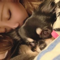 ゆーか (@yunyan0411) 's Twitter Profile