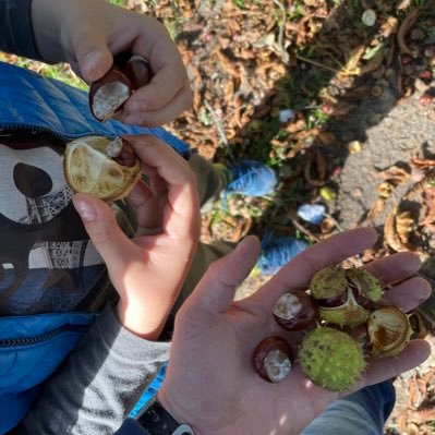 KonradDoro's profile picture. A lesson learned is a lesson earned. Not a type of 9 to 5 person. It’s better when you own it. GEM s💎 & Dogoo 🕊️NFA $BUX, $Treat, XRP, Shiba Inu