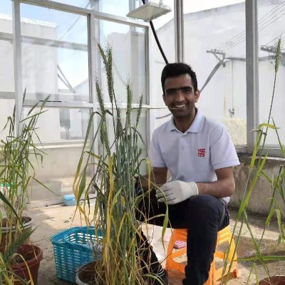 Plant pathologist Ph.D. of @Tang Weihua at CAS Center for Excellence in Molecular Plant Science(CEMPS)