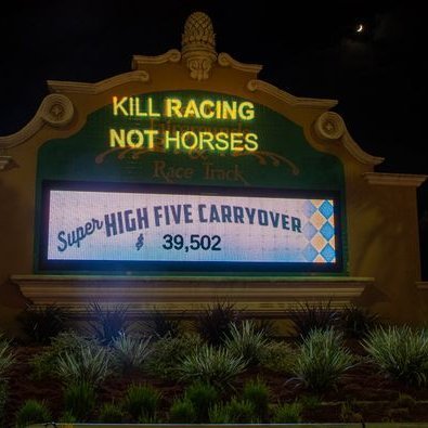 Educating the public on the cruelty of the horseracing industry.  Supporting the end of live horse racing by promoting a California Ballot Measure.