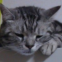 OKBE (@okbe19) 's Twitter Profile Photo OKBE (@okbe19) 's Twitter Profile Photo