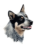 BacchusBlue's profile picture. 