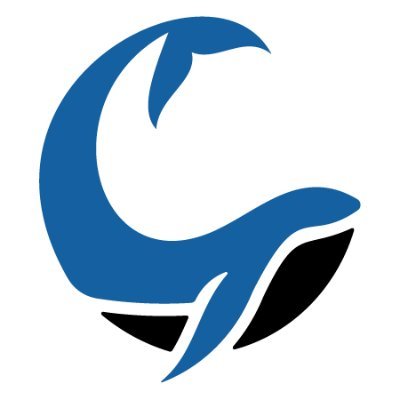 Cetacean Capital Logo