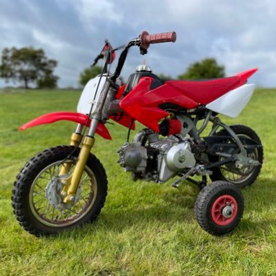 Pip31162601's profile picture. Everything