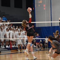 Brian (@bognacevic) 's Twitter Profile