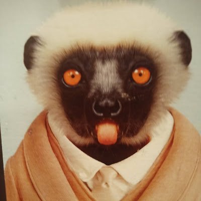 AVaclavske's profile picture. Krankenwagenbeifahrer Zusatzqualifikationen Hintensitzer + Medikamentenweitwurf                   
aus MV =Südschweden/Westpolen
 Are your intentions honorable?