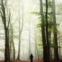 Lady of the Woods (@ladyofthewood99) 's Twitter Profile