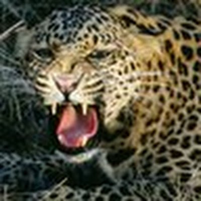 KariV70616279's profile picture. 