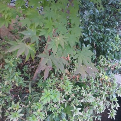 4BWDDioGQcK3wpx's profile picture. 美容好き