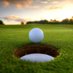 RookeryPark (@rookeryparkgc) Twitter profile photo RookeryPark (@rookeryparkgc) Twitter profile photo