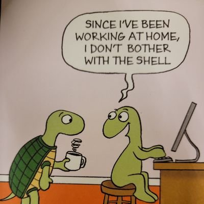 DumbQuesti0ns's profile picture. They say there's no such thing as a dumb question