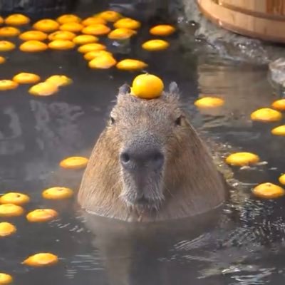 msmith527's profile picture. He/Him, Stupid as hell, tired 96% of the time