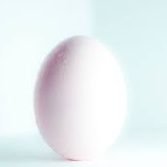 happy_eggg's profile picture. 可愛いもの好きのただのたまご
ほぼ夢日記