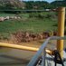 GERENCIAGRALSERVICIOS (@gerenciagralse1) Twitter profile photo GERENCIAGRALSERVICIOS (@gerenciagralse1) Twitter profile photo