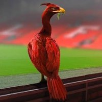 Paul(@pablolfc79) 's Twitter Profile Photo