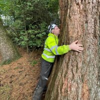 Treedocs Ltd Tree surgeons Falkirk Glasgow Lanarks (@scotlandsand) 's Twitter Profile