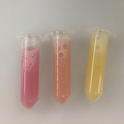 Schellenberg Lab Profile