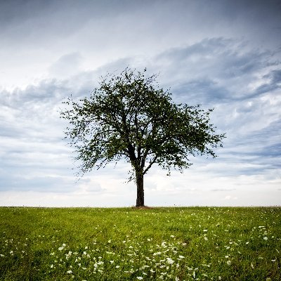 together232's profile picture. pfp: @domenko | banner:@mild_mess_