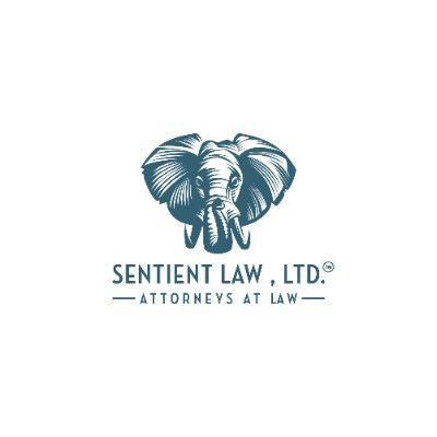 👉 #Startup lawyer with 12+ years of legal & entrepreneurial experience
👉 #CyberSecurity #SlicingPie #Startup #Business #entrepreneur
📍 #ATX
📍 #CHI