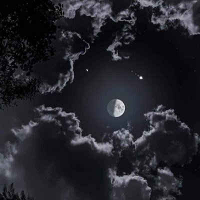 SusanaR37545924's profile picture. 