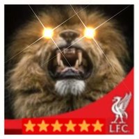 Chan 🦁 (@chanlfc) 's Twitter Profile