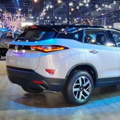 shameenan6's profile picture. Mm