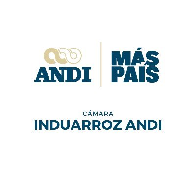 InduarrozANDI Profile Picture