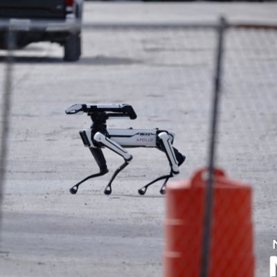 SpaceXApollo's profile picture. I’m spaceX’s second robo dog living at Boca chica (PFP @NicAnsuini )