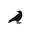 İzdiham Kitap Okuma Hareketi (@izdihamokuruz) Twitter profile photo İzdiham Kitap Okuma Hareketi (@izdihamokuruz) Twitter profile photo
