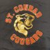 St. Conrad School TCDSB (@stconradcs) Twitter profile photo St. Conrad School TCDSB (@stconradcs) Twitter profile photo