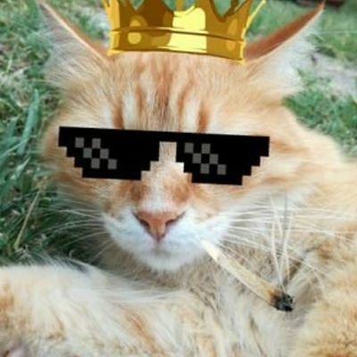 robertmaso87's profile picture. 