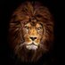 Guijarros negros de 🦁 (@waadialub) Twitter profile photo Guijarros negros de 🦁 (@waadialub) Twitter profile photo
