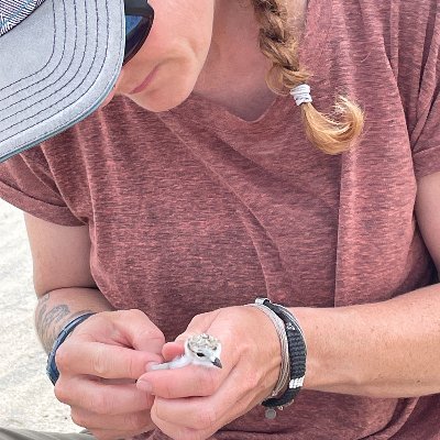 Born in the UK, live/work in the US (she/her/hers)
#DelawareShorebirdProject
#statebiologist #birds #coastalecology #GIS #migration #breedingbirds #conservation