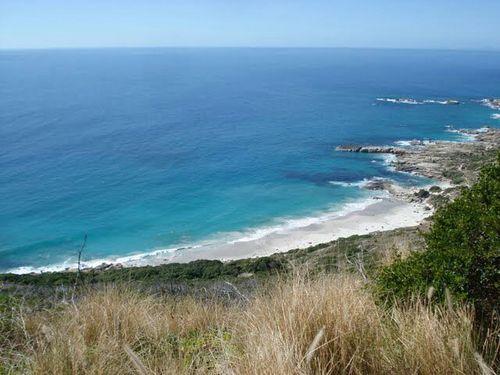 mblottnitz's profile picture. 