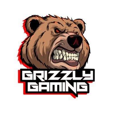 Grizzly Gaming is a Play To Earn Club that works with gamers all across the world to help them earn a living through NFT based games. Join us!