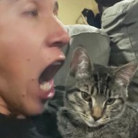 wholeo (@wholeo15) 's Twitter Profile Photo wholeo (@wholeo15) 's Twitter Profile Photo